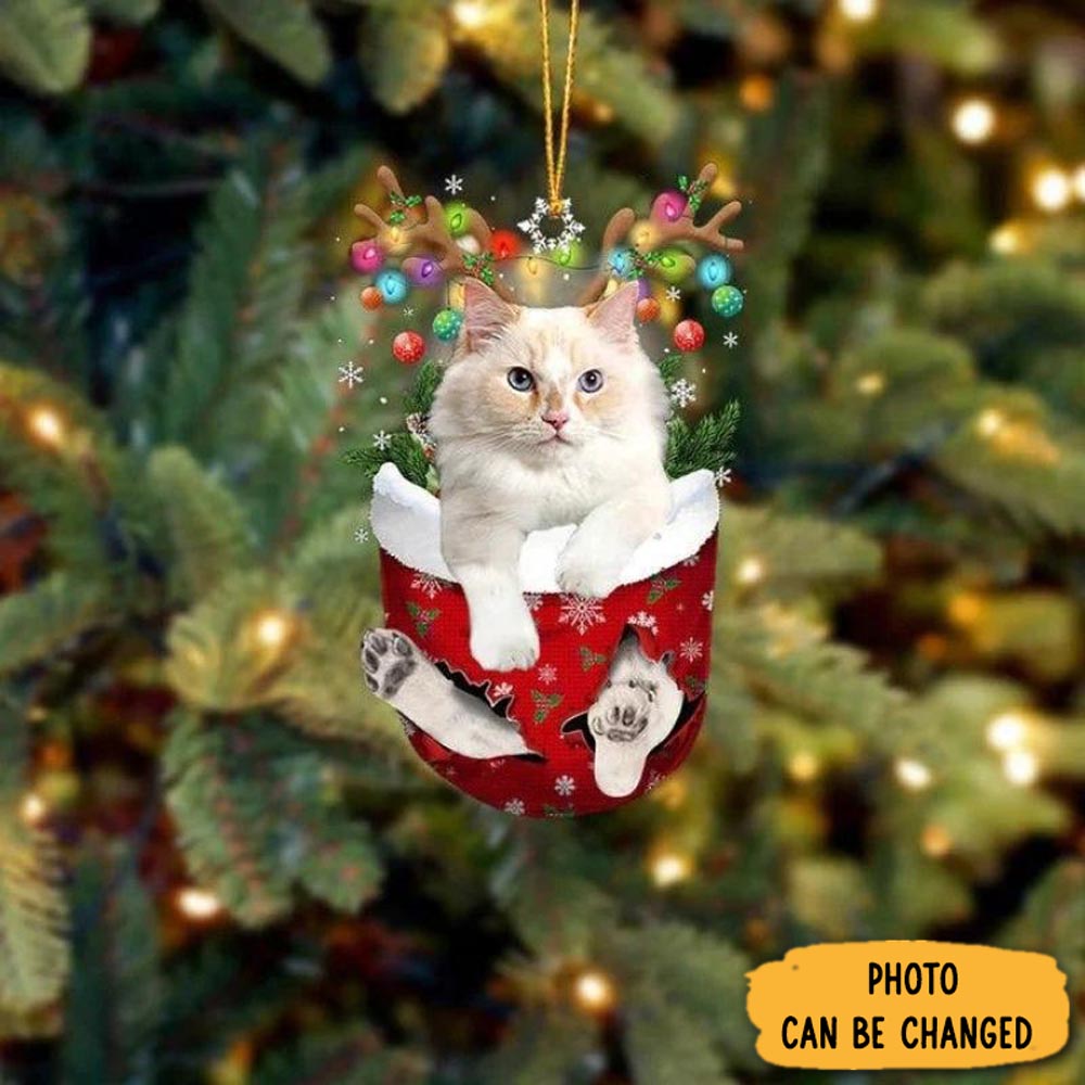 Personalized Cat In Snow Pocket Christmas Ornament Magical Christmas Tree Ornament