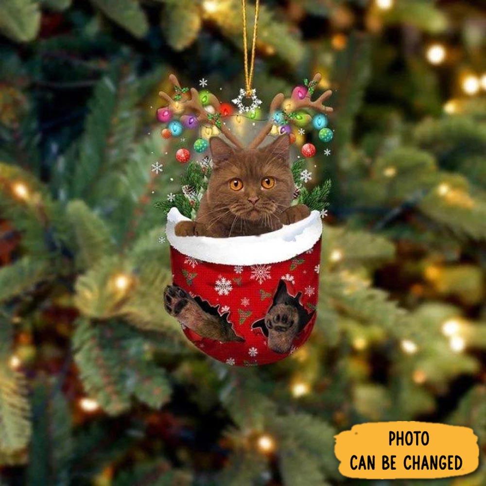 Personalized Cat In Snow Pocket Christmas Ornament Meaningful Birthday Ornament Gift