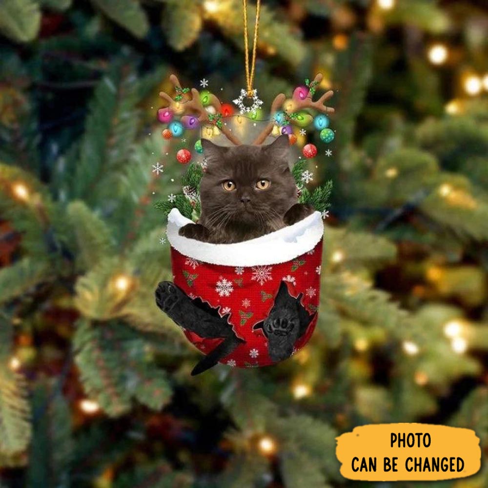 Personalized Cat In Snow Pocket Christmas Ornament Perfect Christmas Ornament Gift(1)