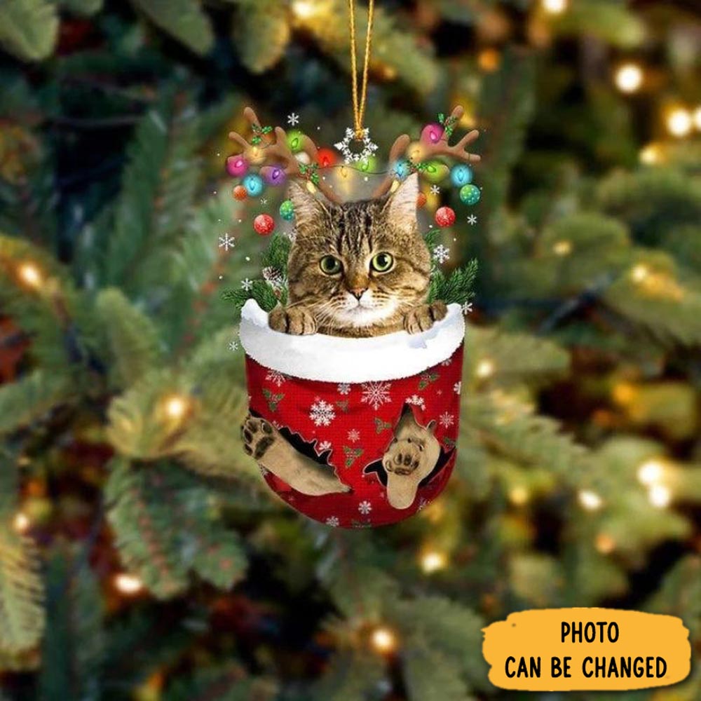 Personalized Cat In Snow Pocket Christmas Ornament Perfect Christmas Ornament Gift