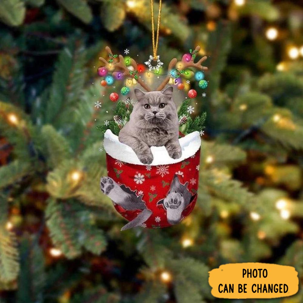 Personalized Cat In Snow Pocket Christmas Ornament Perfect Ornament Gift For Her