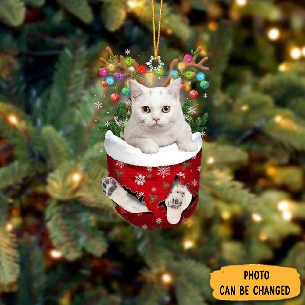 Personalized Cat In Snow Pocket Christmas Ornament Personalized Ornament For Holiday Decor