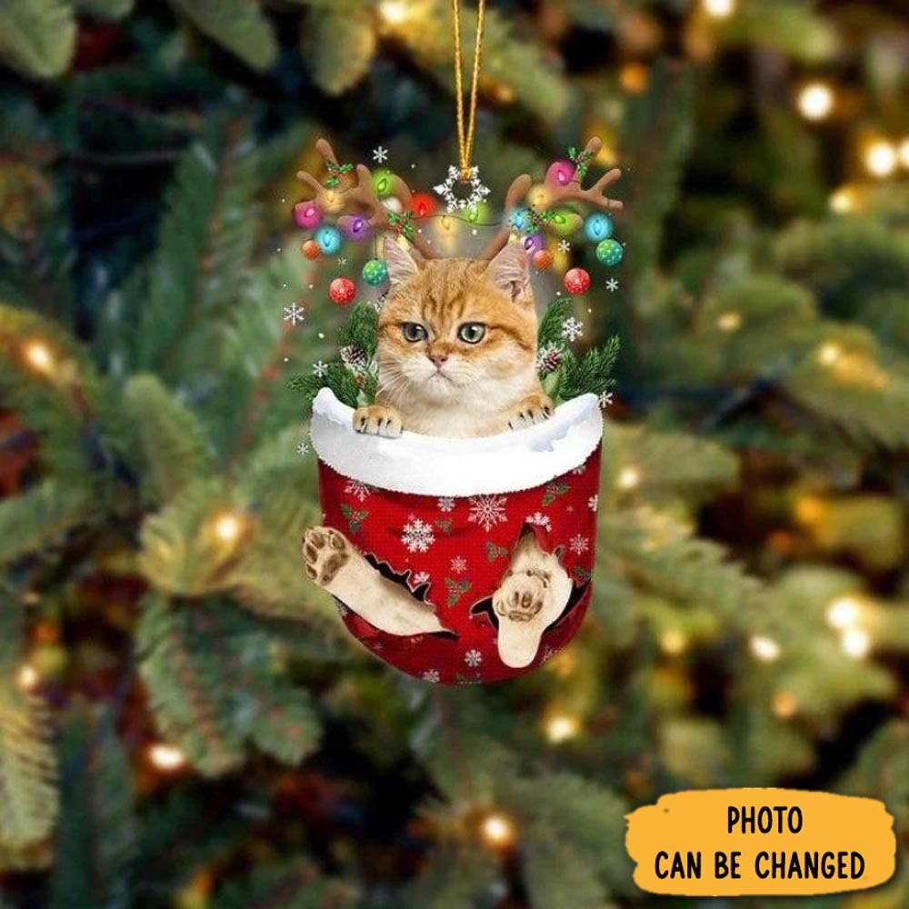 Personalized Cat In Snow Pocket Christmas Ornament Special Father’s Day Ornament Gift