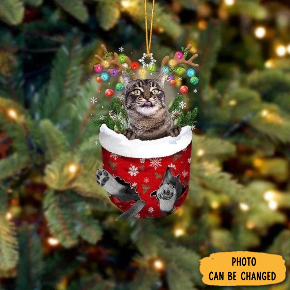 Personalized Cat In Snow Pocket Christmas Ornament Sweet Ornament Gift For Couples