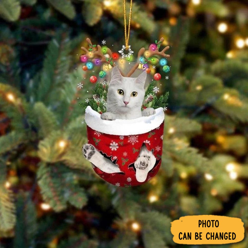 Personalized Cat In Snow Pocket Christmas Ornament Thoughtful Ornament Gift For Dad