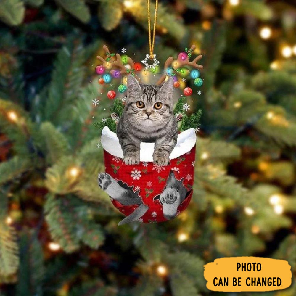Personalized Cat In Snow Pocket Christmas Ornament Thoughtful Valentine Ornament Gift(1)
