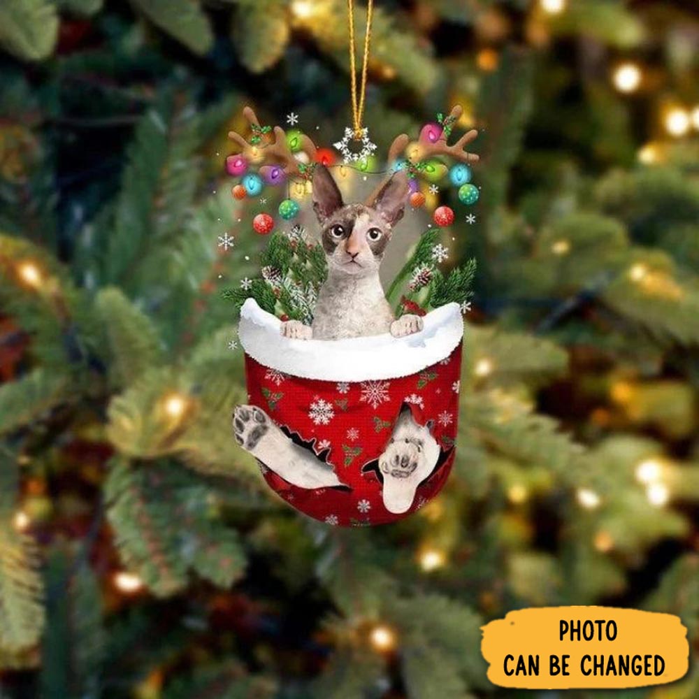 Personalized Cat In Snow Pocket Christmas Ornament Thoughtful Valentine Ornament Gift