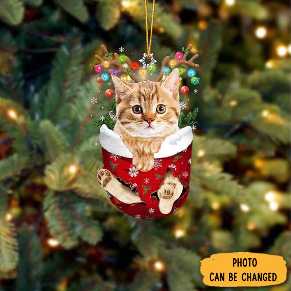 Personalized Cat In Snow Pocket Christmas Ornament Unique Thanksgiving Ornament Idea(1)