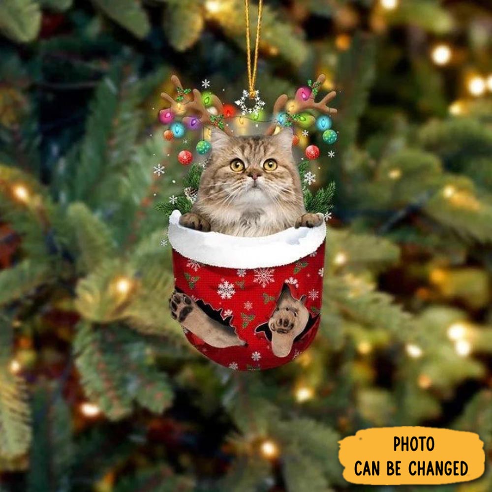 Personalized Cat In Snow Pocket Christmas Ornament Unique Thanksgiving Ornament Idea