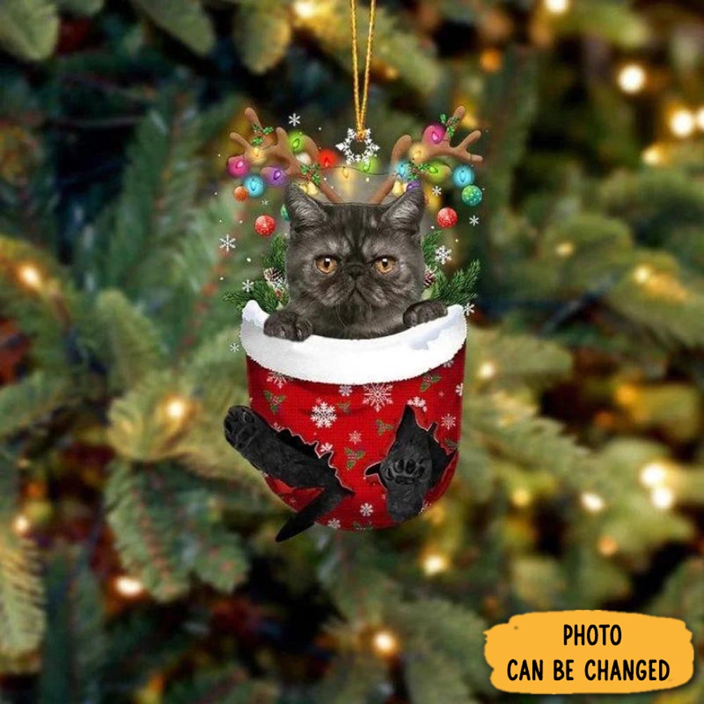 Personalized Cat In Snow Pocket Christmas Ornament Warm Ornament Gift For Family