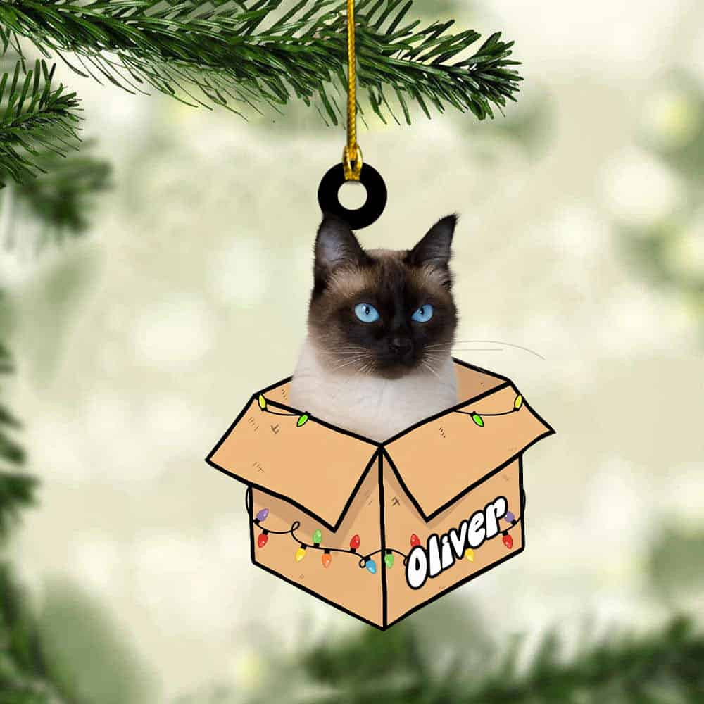 Personalized Cat In The Box Personalized Custom Photo Acrylic Ornament Christmas Gift For Cat Mom Cat Dad Cat Lover Cat Owner