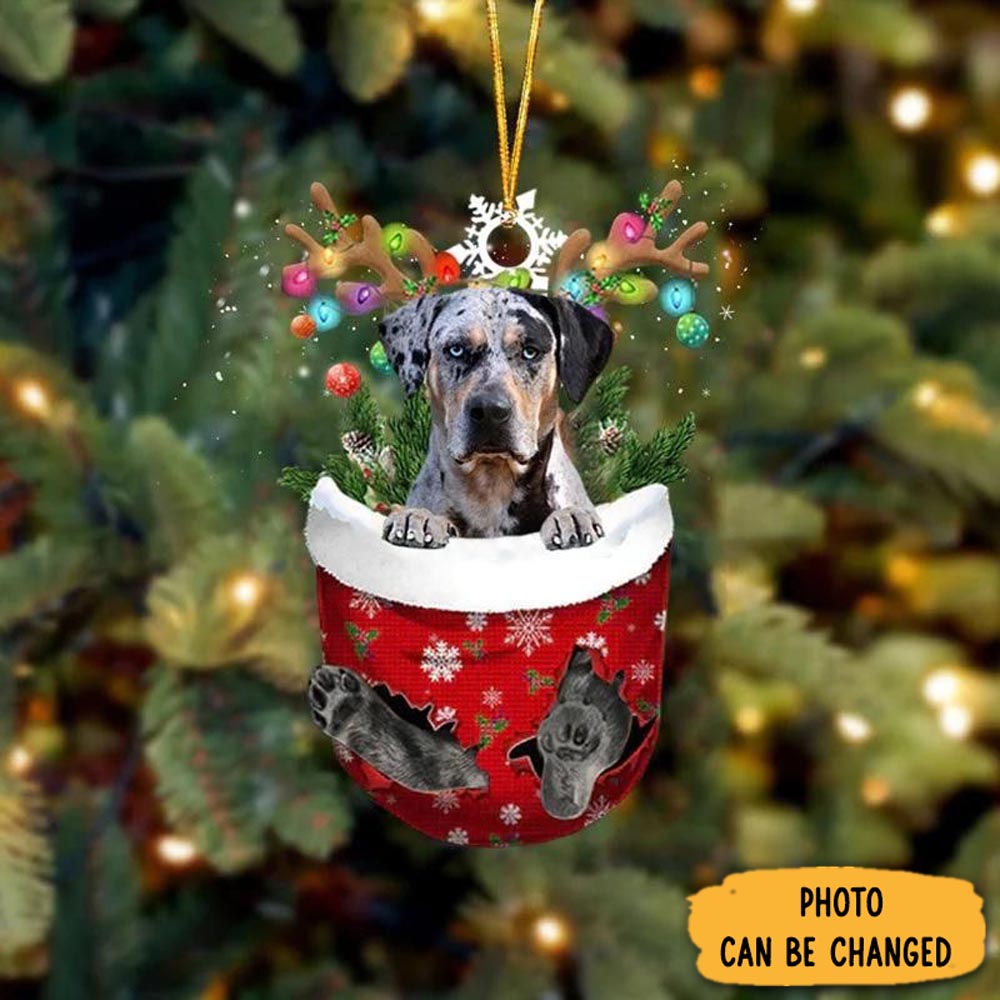 Personalized Catahoula Leopard Dog In Snow Pocket Christmas Ornament Meaningful Birthday Ornament Gift