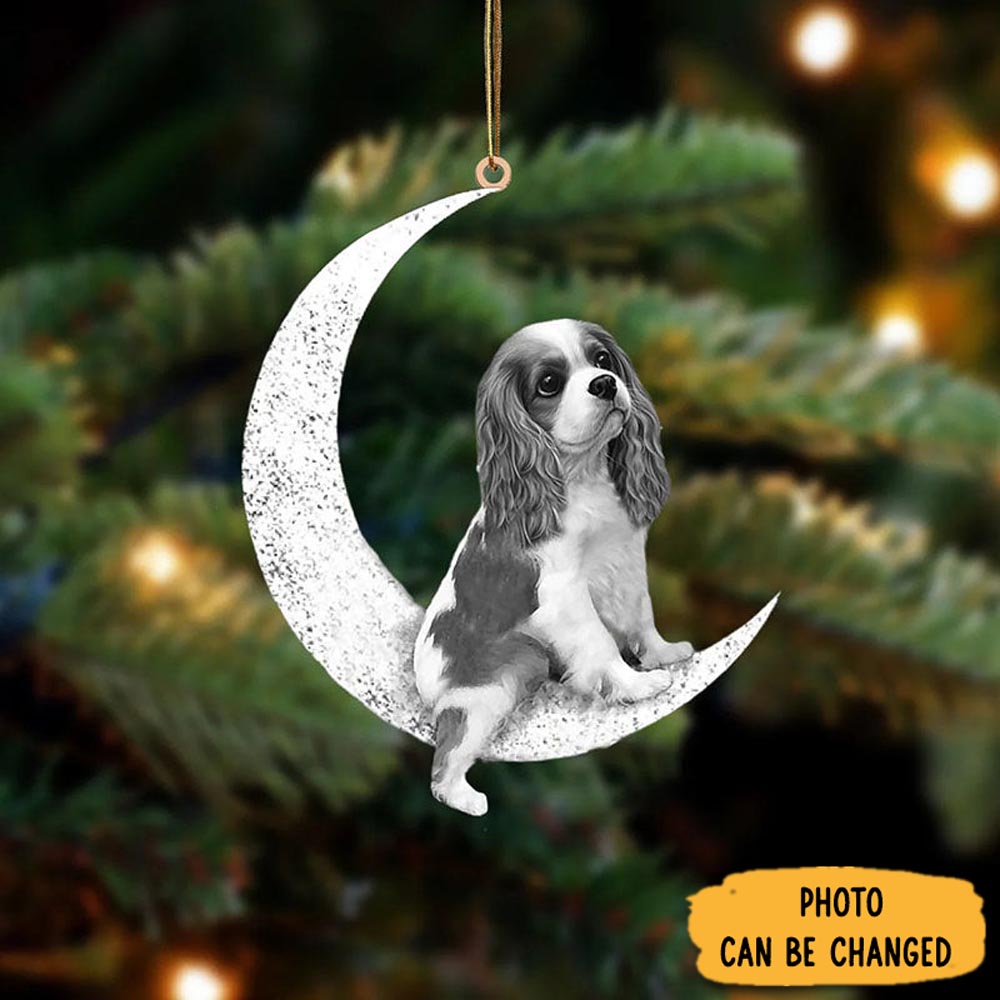 Personalized Cavalier King Charles Spaniel Sit On The Moon Ornament Lovely Holiday Ornament Display