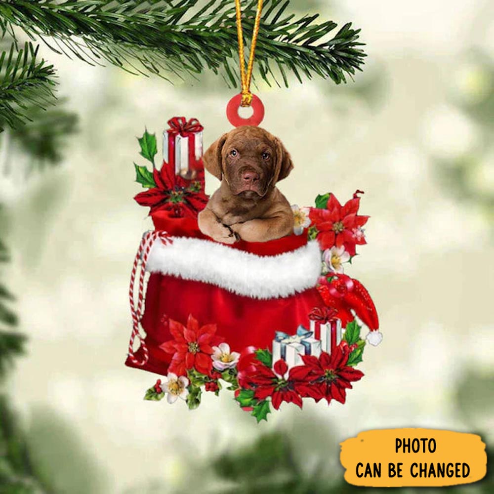 Personalized Chesapeake Bay Retriever In Gift Bag Christmas Ornament Lovely New Year Ornament Keepsake