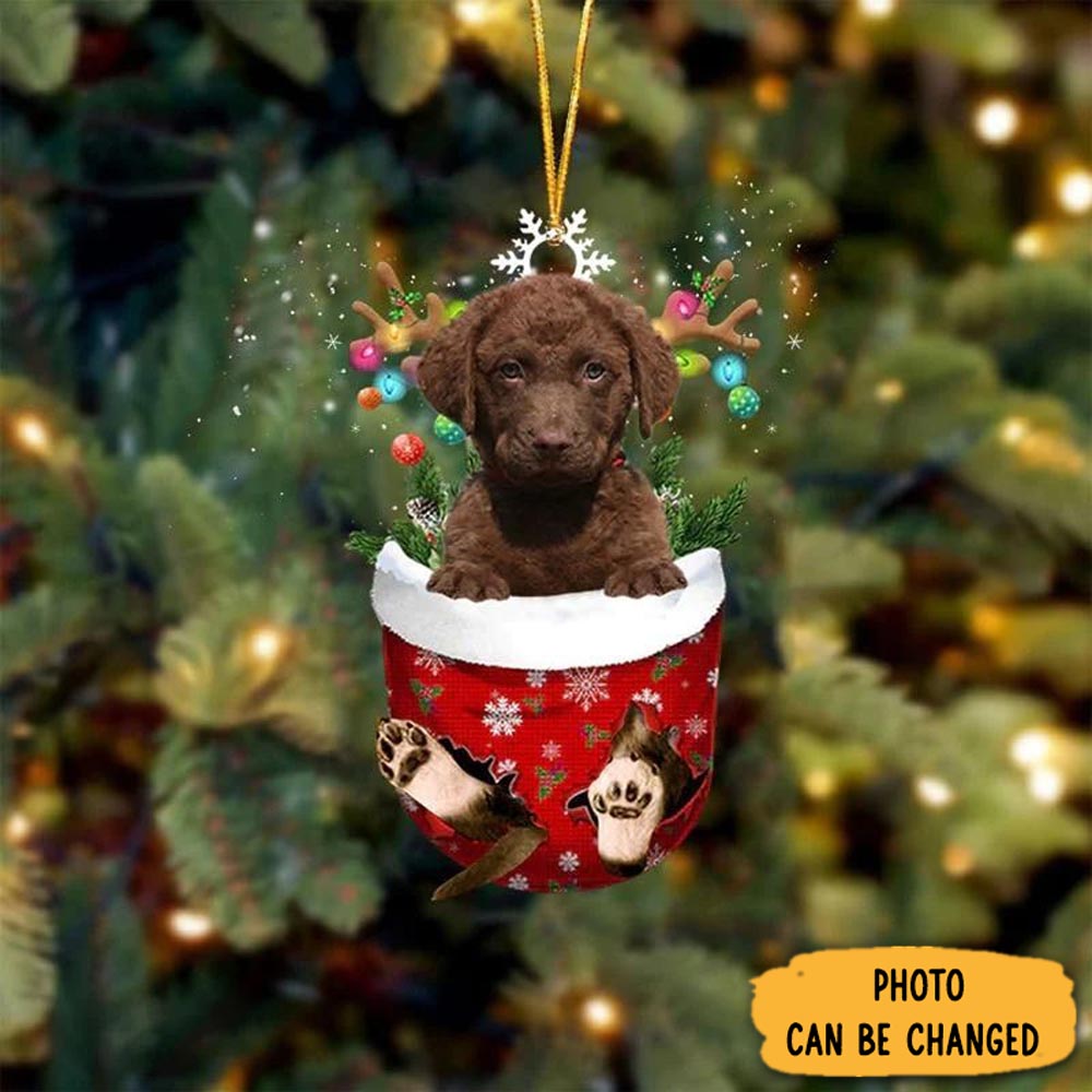 Personalized Chesapeake Bay Retrievers In Snow Pocket Christmas Ornament Thoughtful Valentine Ornament Gift