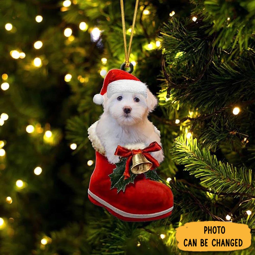 Personalized Coton De Tulear In Santa Boot Christmas Hanging Ornament Memorable Anniversary Ornament Keepsake