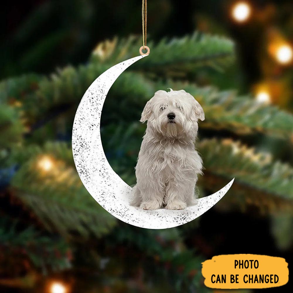 Personalized Coton De Tulear Sit On The Moon Ornament Joyful Holiday Season Ornament Gift