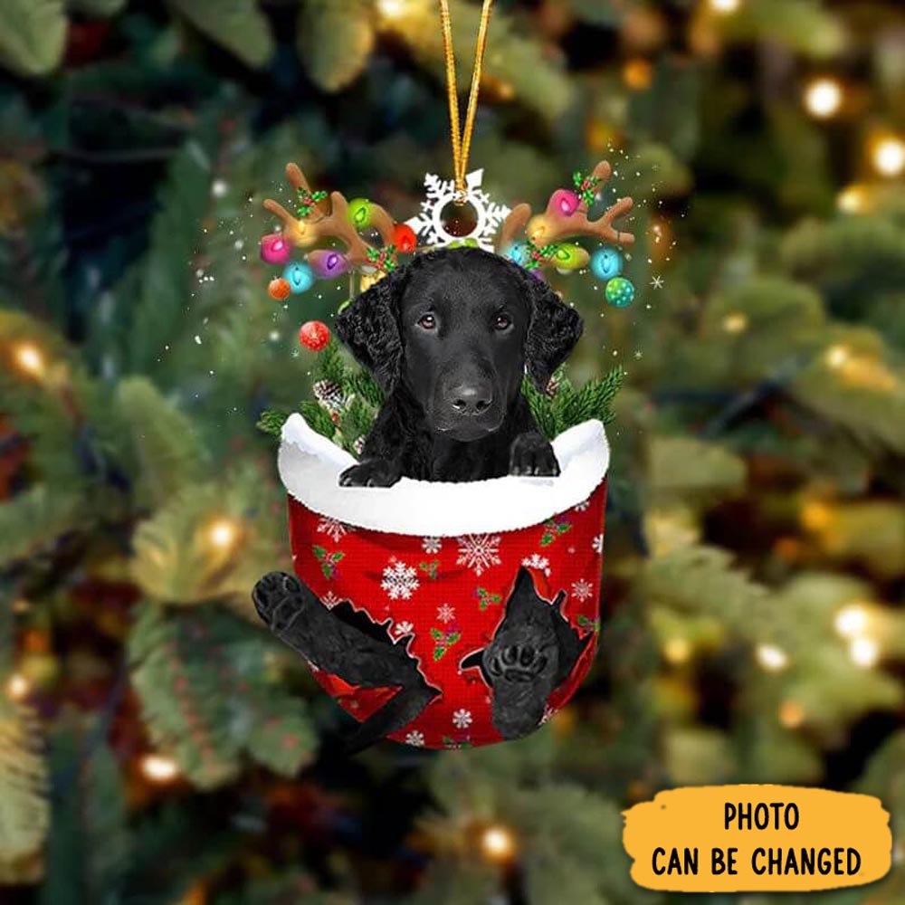 Personalized Curly Coated Retriever In Snow Pocket Christmas Ornament Perfect Christmas Ornament Gift