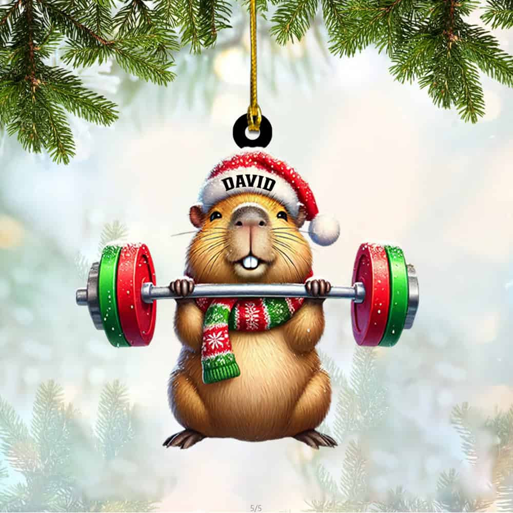 Personalized Custom Name Weightlifting Hamster Ornament Personalized Christmas Fitness Ornament