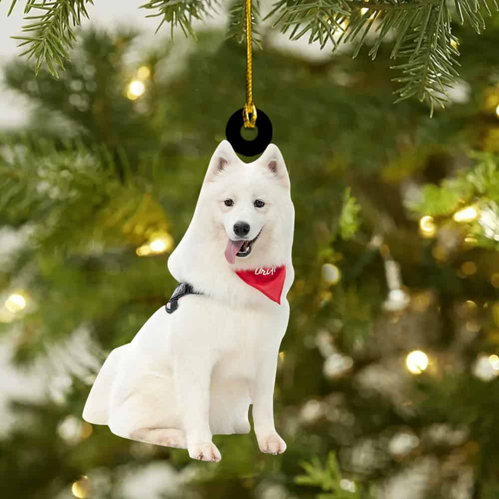 Personalized Custom Your Photo Ornament Upload Photo Personalized Christmas Ornament Gift For Dog Lover