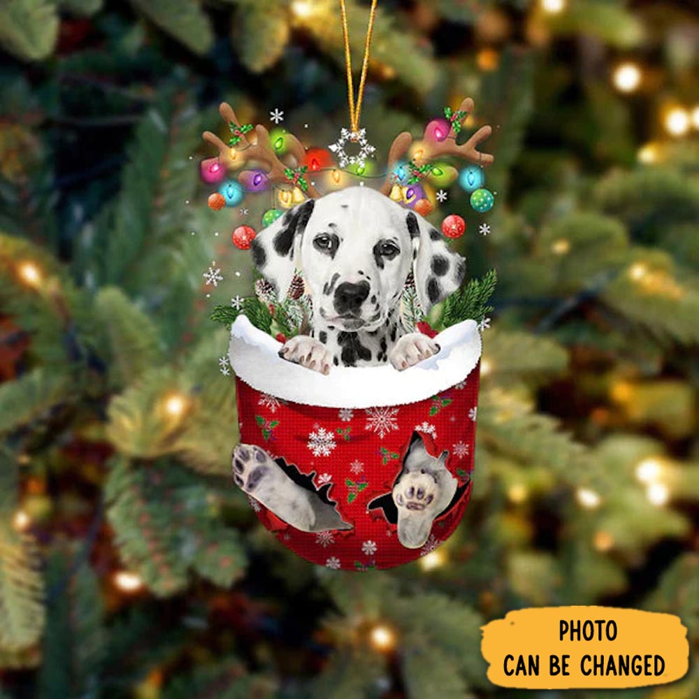 Personalized Dalmatian In Snow Pocket Christmas Ornament Meaningful Christmas Ornament Gift