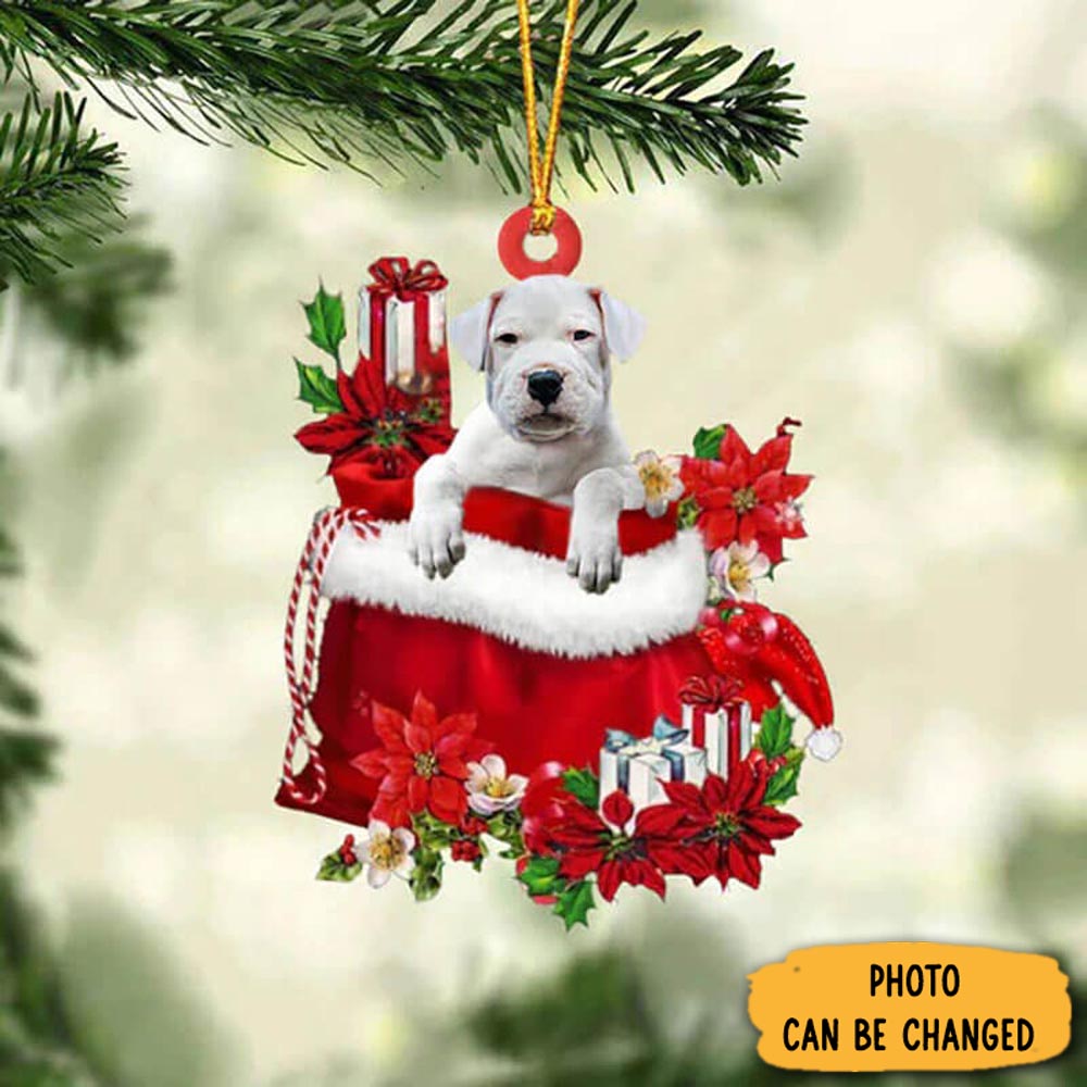 Personalized Dogo Argentino In Gift Bag Christmas Ornament Warm Ornament Gift For Family
