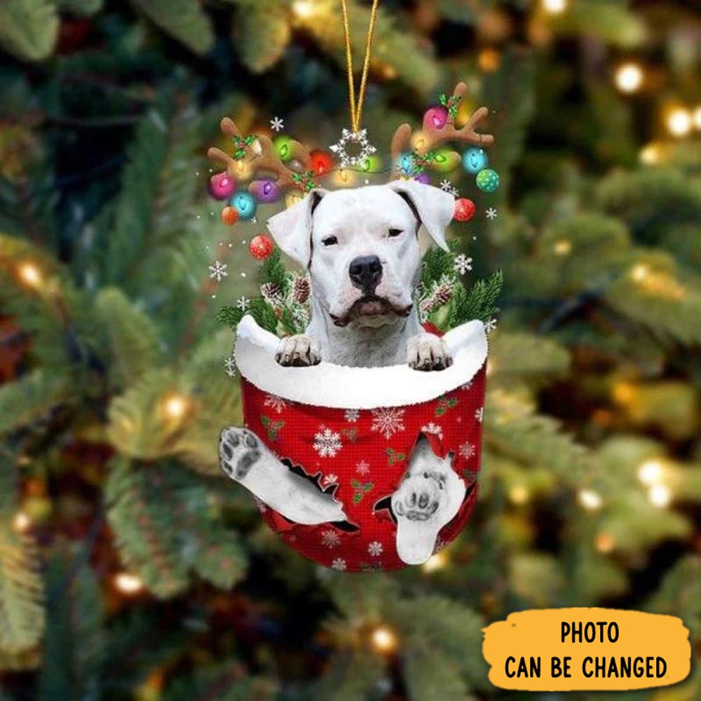 Personalized Dogo Argentino In Snow Pocket Christmas Ornament Beautiful Holiday Ornament Keepsake