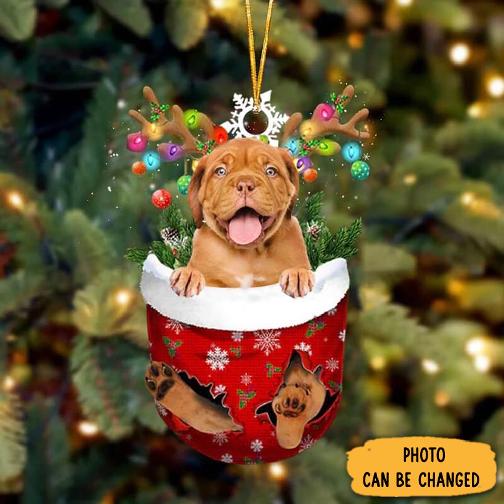 Personalized Dogue De Bordeaux In Snow Pocket Christmas Ornament Heartwarming Family Ornament Keepsake