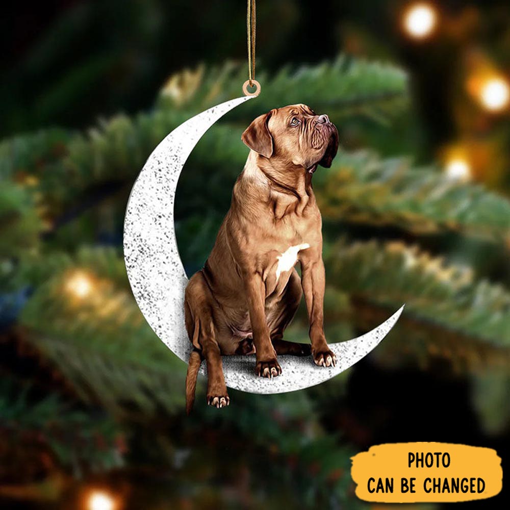 Personalized Dogue De Bordeaux Sit On The Moon Ornament Lovely Holiday Ornament Display