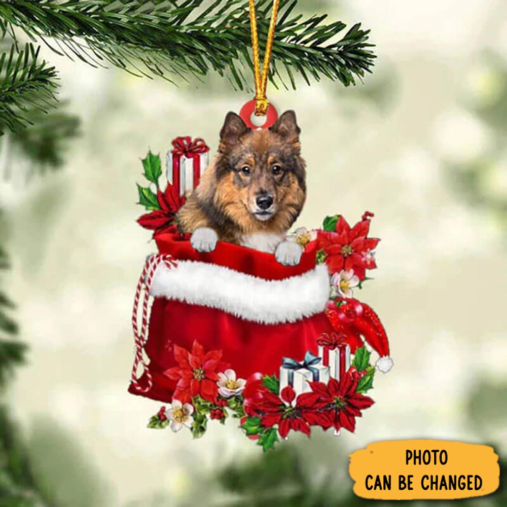 Personalized Eurasier In Gift Bag Christmas Ornament Heartwarming Holiday Ornament Gift