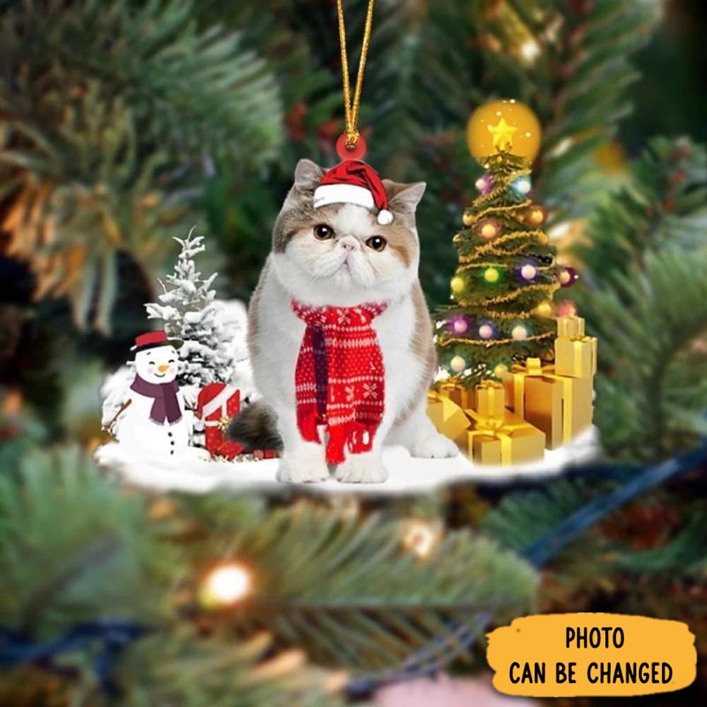 Personalized Exotic Shorthair Cat Christmas Ornament Thoughtful Valentine Ornament Gift