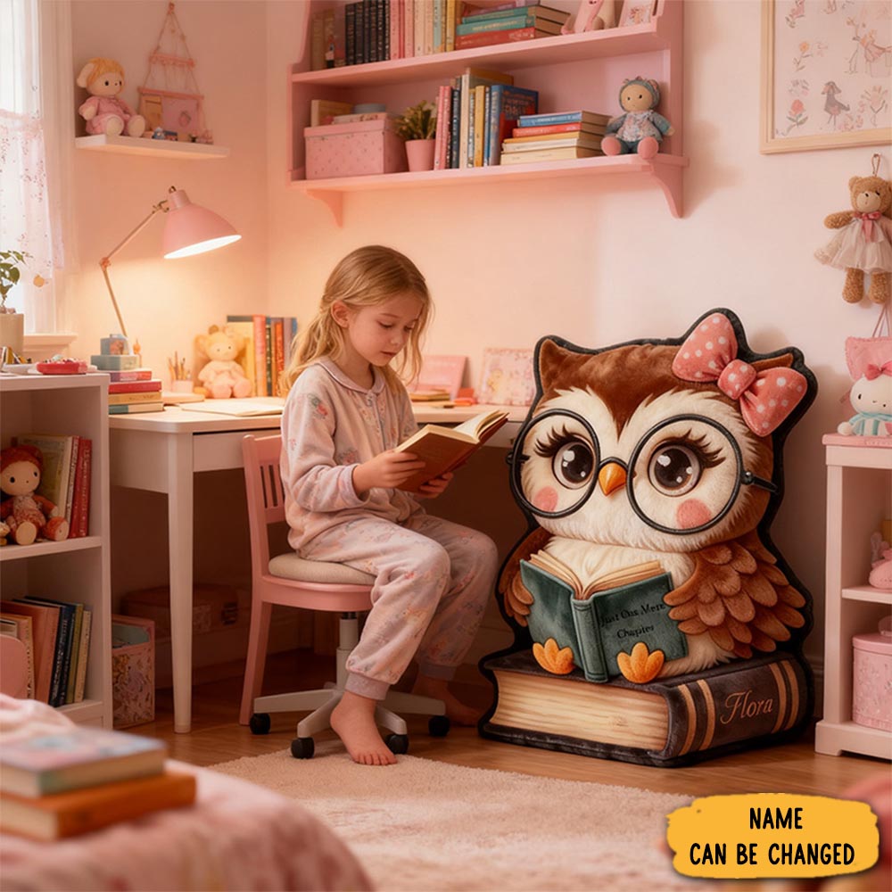 Personalized Funny Pillow Christmas Graphic 3d Print Owl Read One More Chapter Custom Name Gift For Reading Lovers