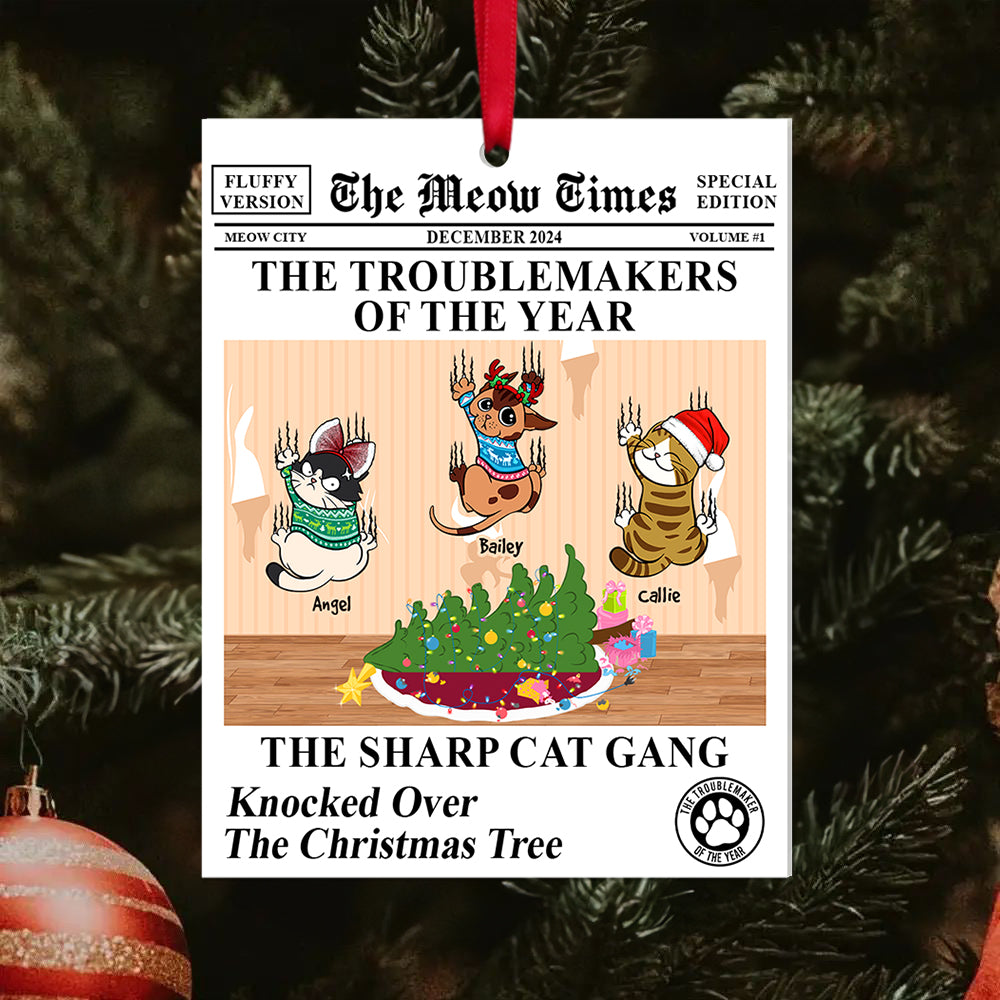 Personalized Gifts For Cat Lovers - Holiday Season Gift Idea