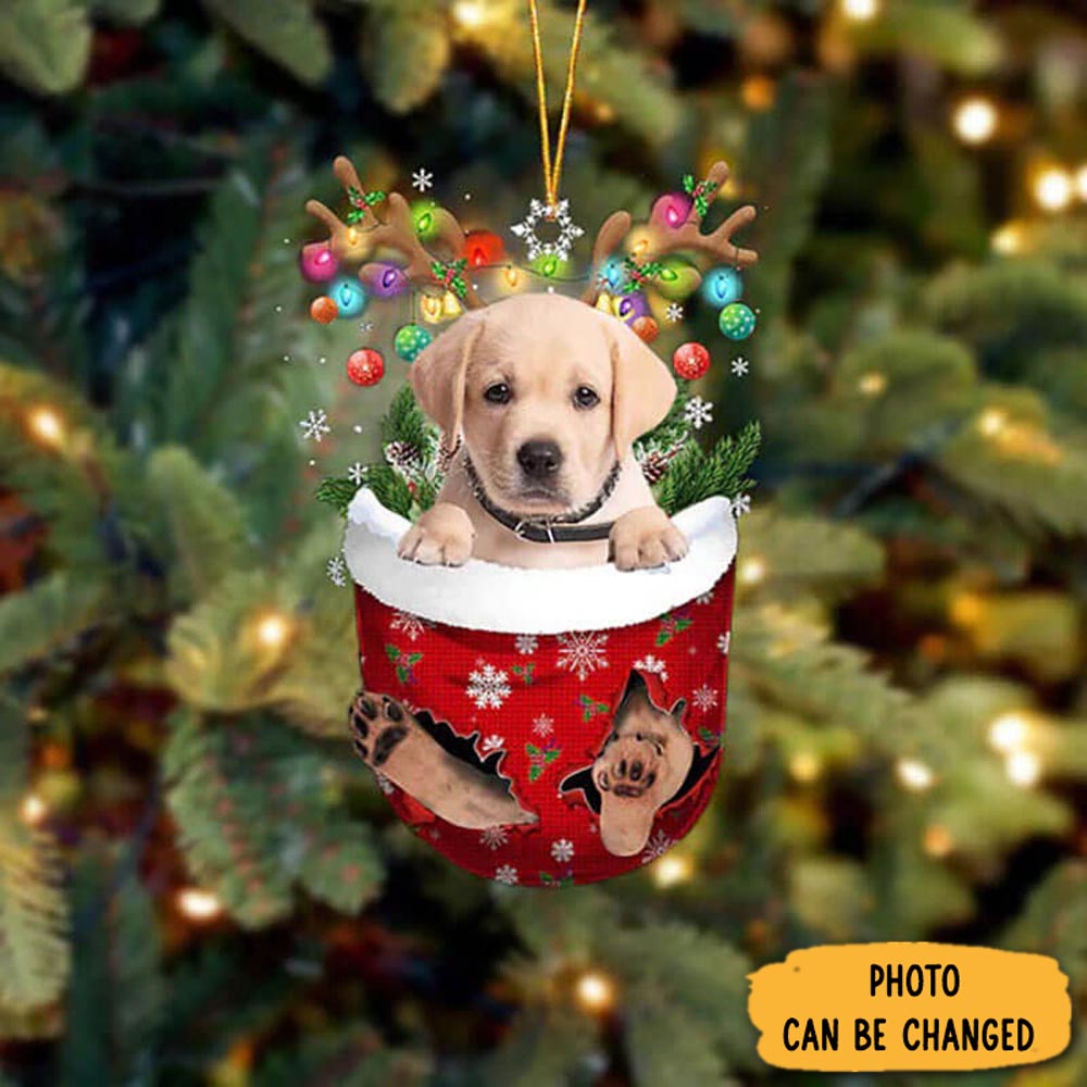 Personalized Goldador In Snow Pocket Christmas Ornament Heartwarming Holiday Ornament Gift