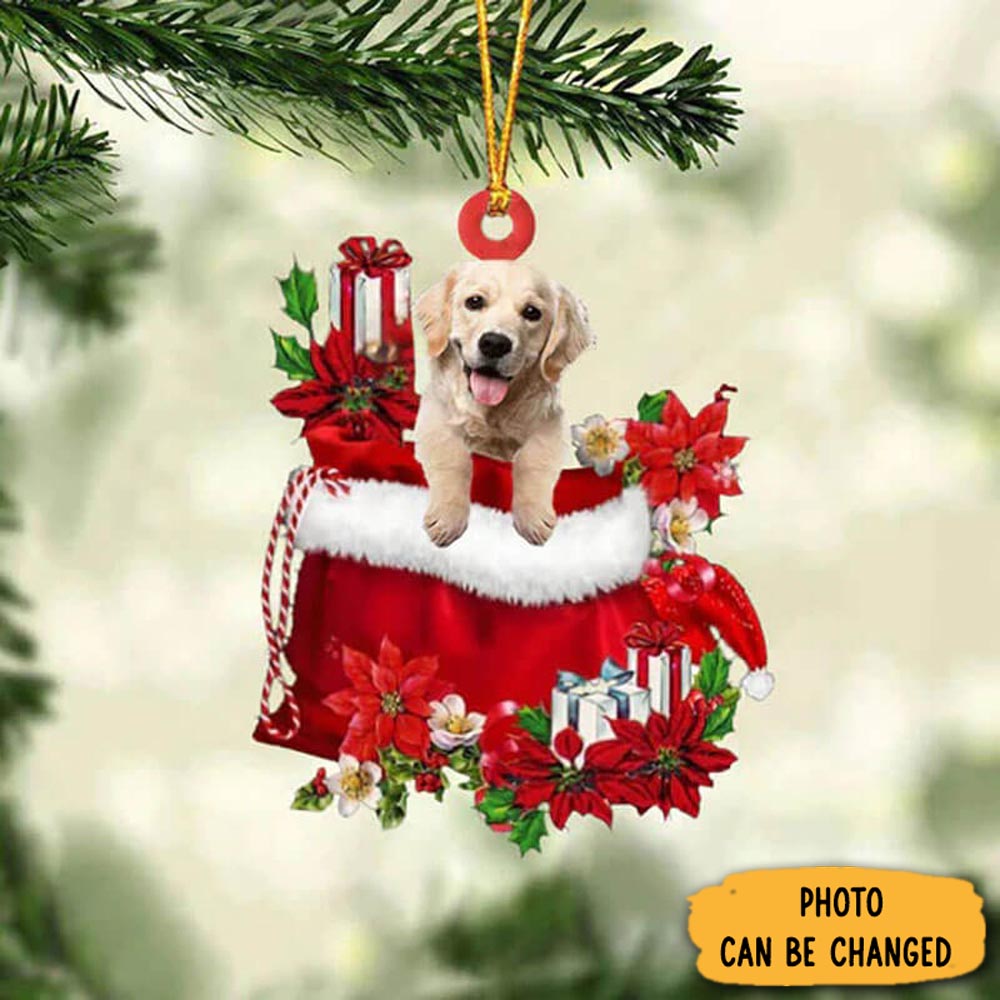 Personalized Golden Retriever In Gift Bag Christmas Ornament Thoughtful Ornament Gift For Dad