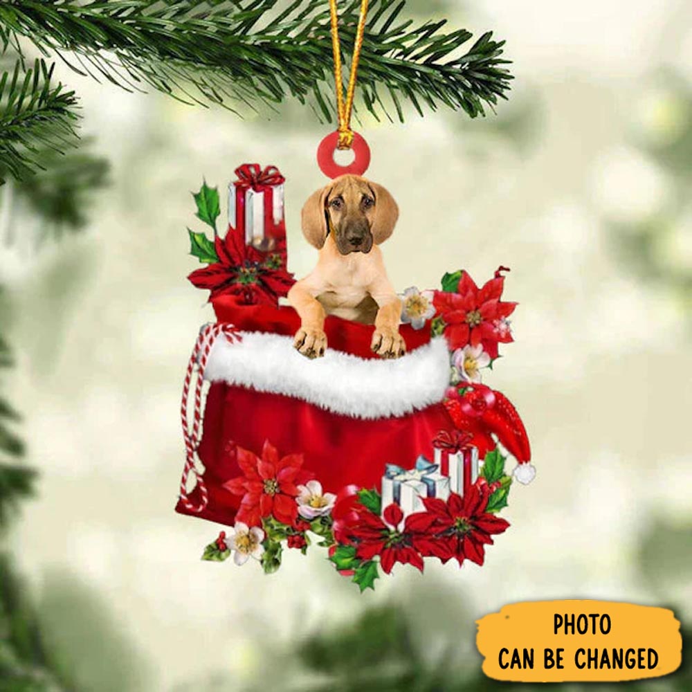 Personalized Great Dane In Gift Bag Christmas Ornament Memorable Anniversary Ornament Keepsake