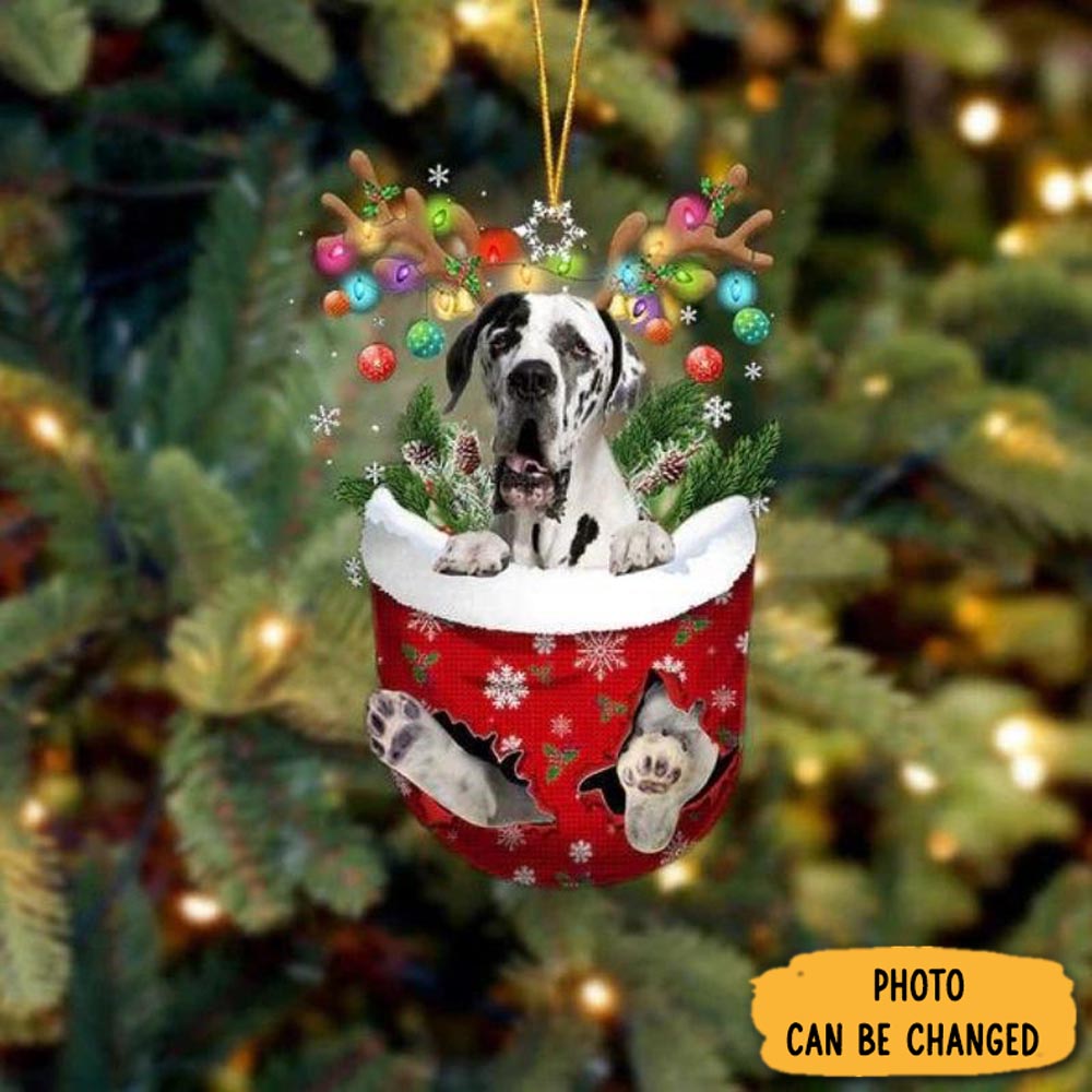 Personalized Great Dane In Snow Pocket Christmas Ornament Beautiful Graduation Ornament Gift
