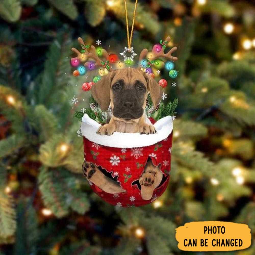 Personalized Great Dane In Snow Pocket Christmas Ornament Perfect Ornament Gift For Her