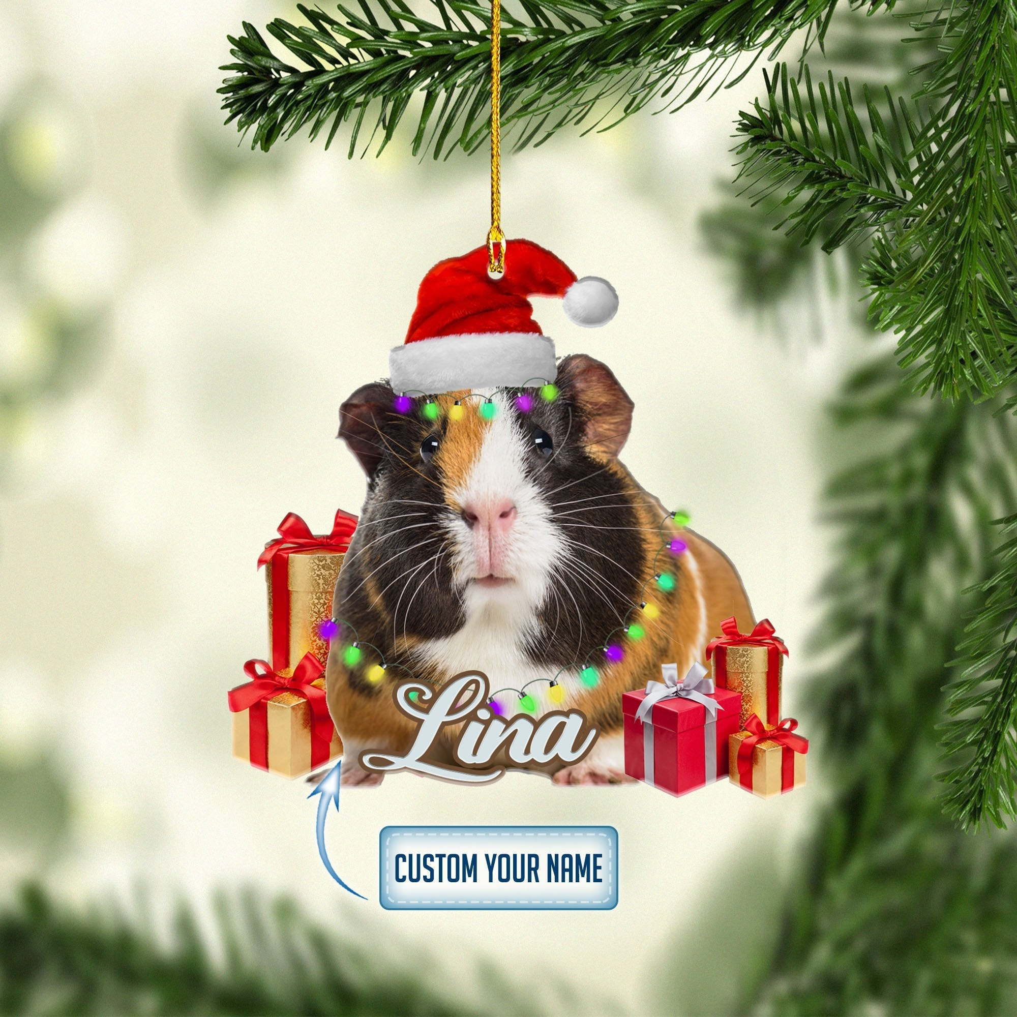 Personalized Guinea Pig Gift Christmas Ornaments Gift for Guinea Pig Lover