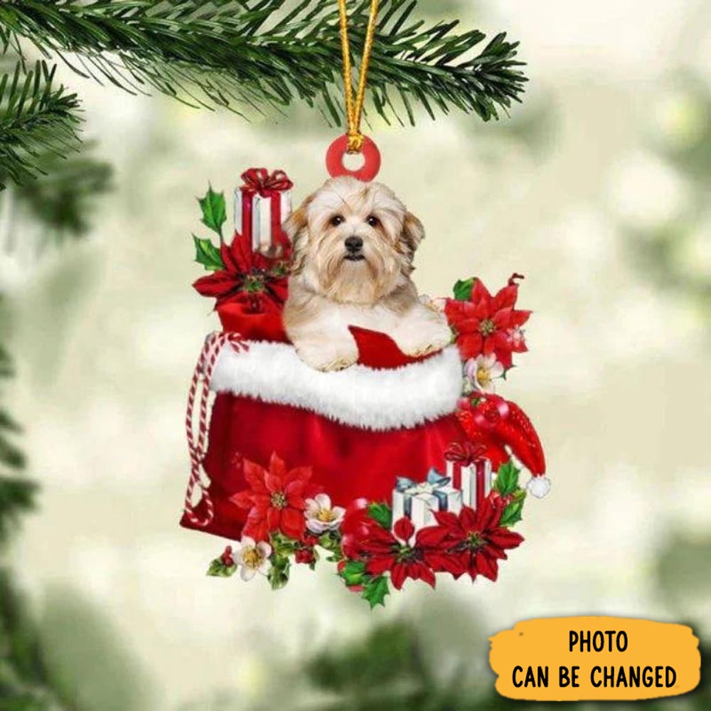 Personalized Havanese In Gift Bag Christmas Ornament Meaningful Birthday Ornament Gift