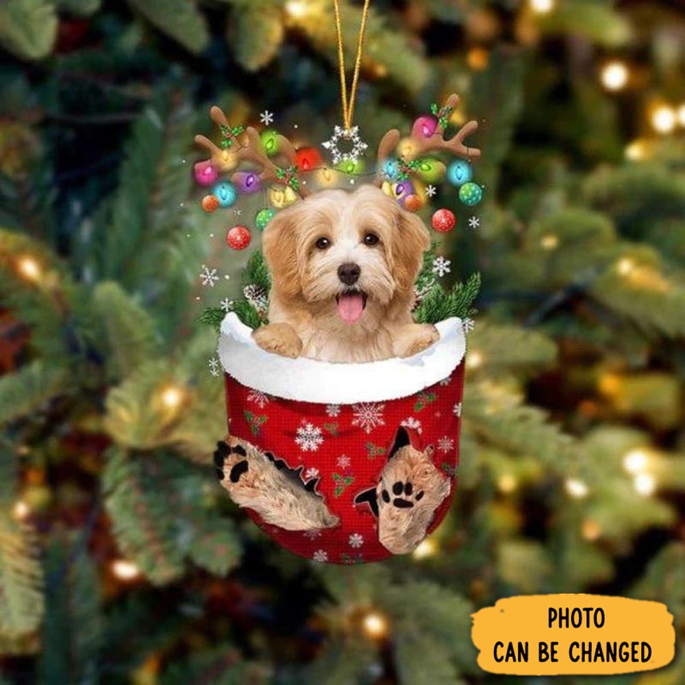 Personalized Havanese In Snow Pocket Christmas Ornament Beautiful Graduation Ornament Gift