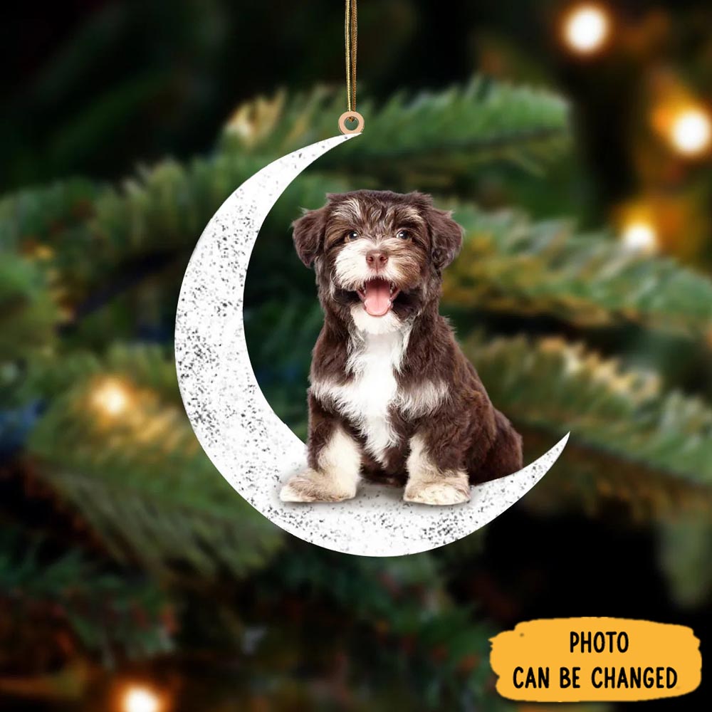 Personalized Havanese Sit On The Moon Ornament Perfect Ornament Gift For Her