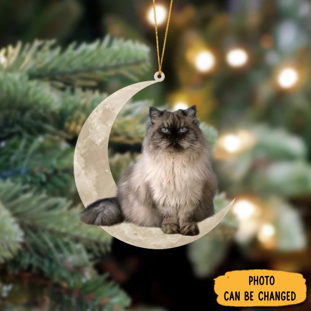 Personalized Himalayan Cat Sits On The Moon Hanging Ornament Beautiful Holiday Ornament Keepsake