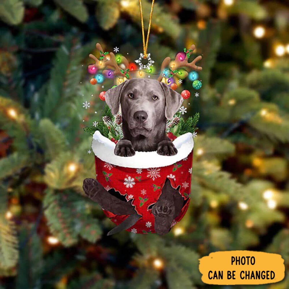 Personalized Labrador In Snow Pocket Christmas Ornament Adorable Easter Ornament Keepsake
