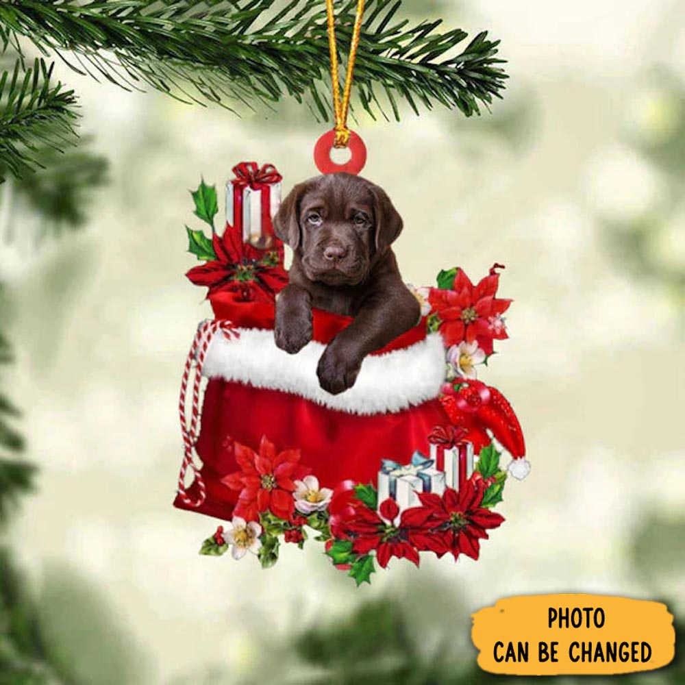 Personalized Labrador Retriever In Gift Bag Christmas Ornament Warm Ornament Gift For Family