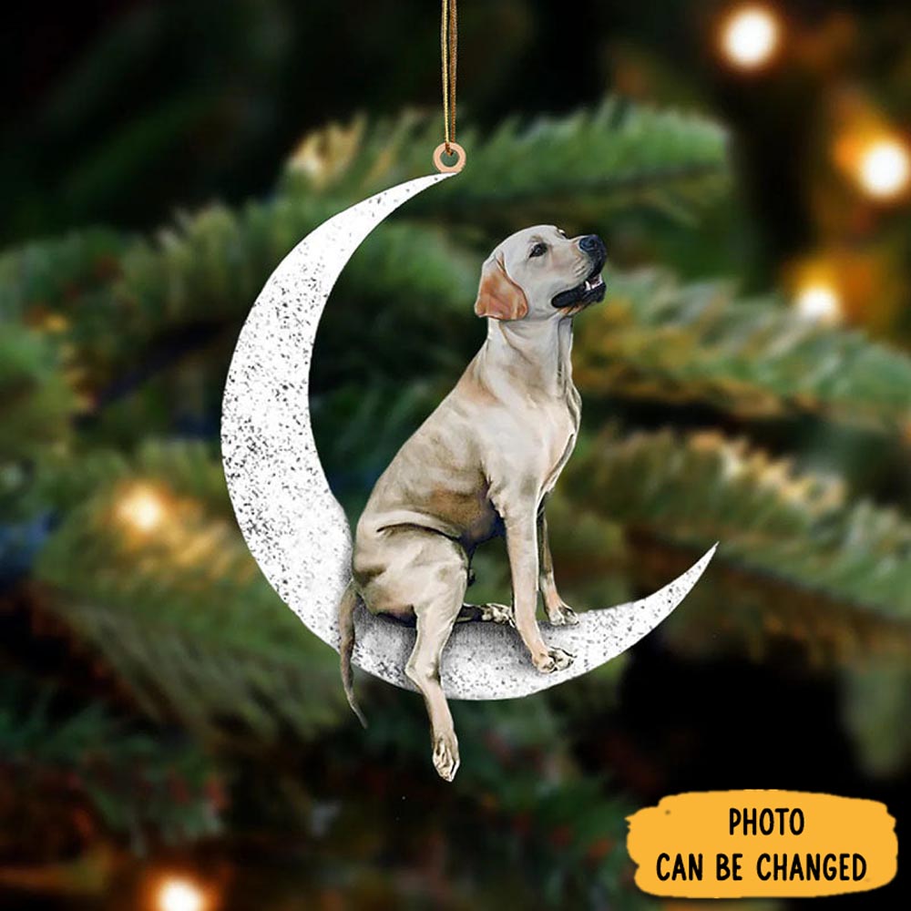 Personalized Labrador Retriever Sit On The Moon Ornament Magical Christmas Tree Ornament