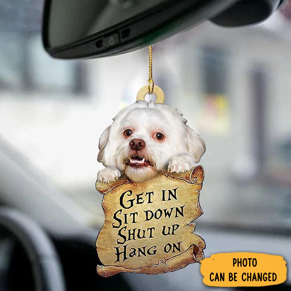 Personalized Lhasa Apso Get In Ornament Perfect Christmas Ornament Gift