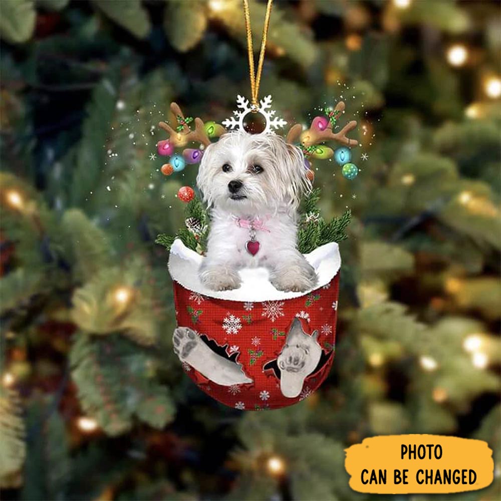 Personalized Maltese And Yorkie Mix In Snow Pocket Christmas Ornament Lovely Ornament Gift For Him