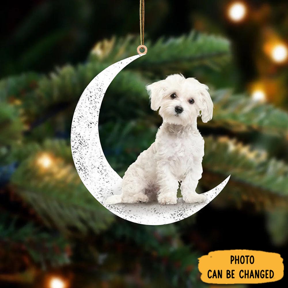 Personalized Maltese Sit On The Moon Ornament Festive Holiday Ornament Collection