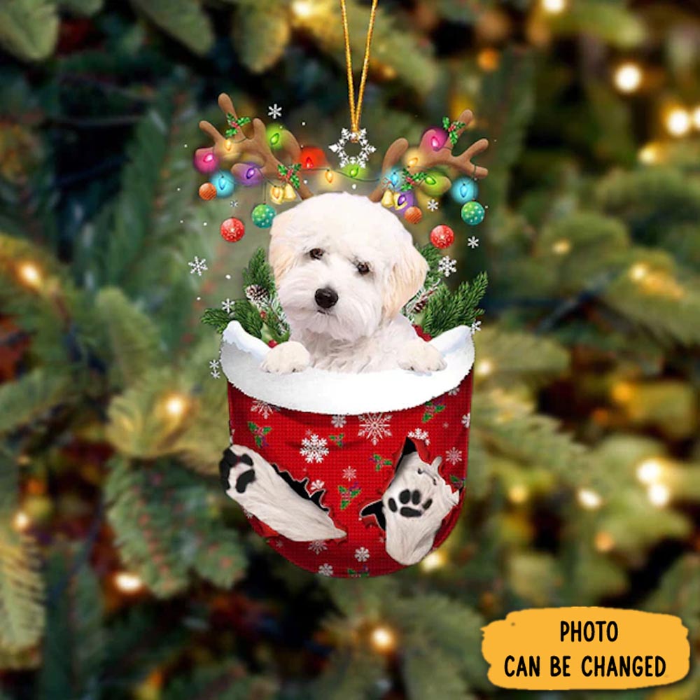 Personalized Maltipoo In Snow Pocket Christmas Ornament Lovely Holiday Ornament Display
